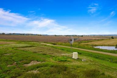 Cropping Sold - QLD - Nobby - 4360 - Perfect rural allotment!  (Image 2)