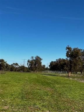 Mixed Farming For Sale - WA - Gingin - 6503 - Rare Earth in a Prime Location  (Image 2)