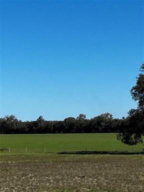 Mixed Farming For Sale - WA - Gingin - 6503 - Rare Earth in a Prime Location  (Image 2)