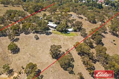 House For Sale - SA - Birdwood - 5234 - NATURAL SETTING. TWO DWELLINGS, 27.8 ACRES PRIVACY, SECLUSION AND VIEWS.  (Image 2)