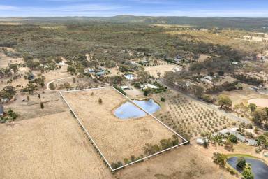 Lifestyle For Sale - VIC - Strathfieldsaye - 3551 - A Rural Paradise with Endless Potential  (Image 2)