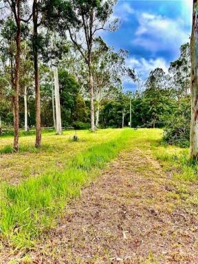 Residential Block Sold - QLD - Traveston - 4570 - Tranquil 4.077 Acres of Usable Land  (Image 2)