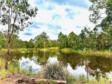 Residential Block Sold - QLD - Traveston - 4570 - Tranquil 4.077 Acres of Usable Land  (Image 2)