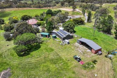 Farmlet For Sale - NSW - Gunning - 2581 - "Allendale" Country living at its best!  (Image 2)