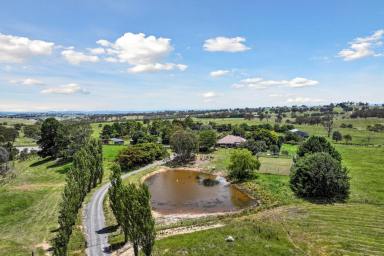 Farmlet For Sale - NSW - Gunning - 2581 - "Allendale" Country living at its best!  (Image 2)