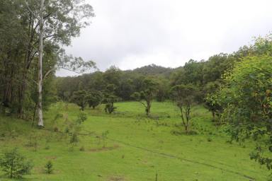 Residential Block For Sale - NSW - Putty - 2330 - Discover the Beauty of This Rural Sanctuary!  (Image 2)