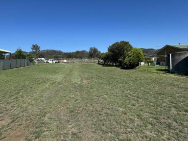 Residential Block For Sale - nsw - Denman - 2328 - Build your Dream Home  (Image 2)