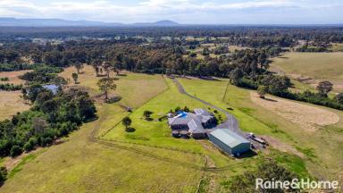 Acreage/Semi-rural Auction - NSW - Nowra Hill - 2540 - OPEN HOUSE CANCELLED | SATURDAY 7TH JUNE 2025  (Image 2)