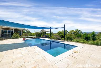 Acreage/Semi-rural For Sale - NSW - Nowra Hill - 2540 - Five Bedroom Home on 81 Acres With Views  (Image 2)