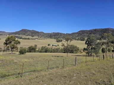 Acreage/Semi-rural Sold - nsw - McCullys Gap - 2333 - Beautiful Lifestyle Property  (Image 2)