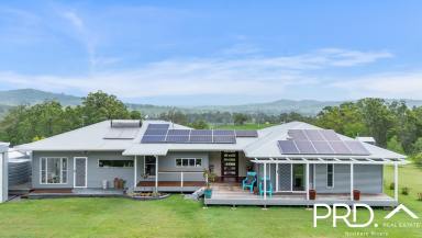 House For Sale - NSW - Kyogle - 2474 - Stunning Home on 5 Acres  (Image 2)