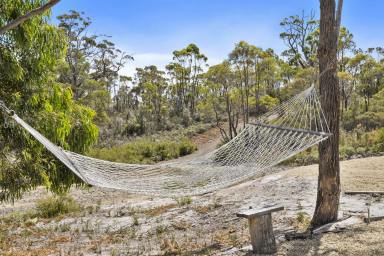 Residential Block For Sale - TAS - Saltwater River - 7186 - "Nature-Lovers' Haven! Affordable private getaway for Budget-Conscious Buyers with Conservation Values"  (Image 2)