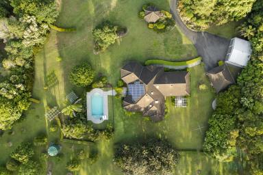 House For Sale - QLD - Peachester - 4519 - OWNERS PURCHASED ELSEWHERE AND NEED TO MOVE ON!  (Image 2)