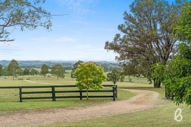 Other (Rural) Sold - NSW - Singleton - 2330 - ELEVATED VIEWS | RURAL PRIVACY & SECLUSION  (Image 2)