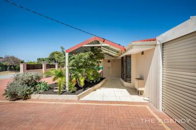 House Sold - WA - Craigie - 6025 - So much potential  (Image 2)