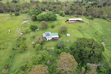 House For Sale - QLD - Gundiah - 4650 - EXQUISITE RIVERSIDE RETREAT ON 40 ACRES (APPROX)  (Image 2)