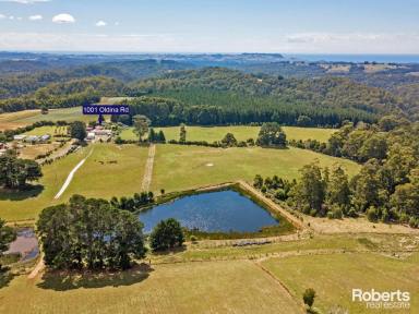 House For Sale - TAS - Oldina - 7325 - Airbnb Potential on a Regenerative Farm in Wynyard, Tasmania on 158 Acres approx.  (Image 2)