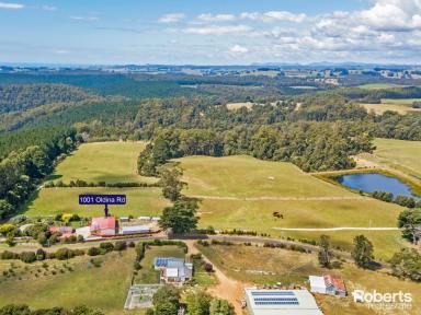 House For Sale - TAS - Oldina - 7325 - Airbnb Potential on a Regenerative Farm in Wynyard, Tasmania on 158 Acres approx.  (Image 2)