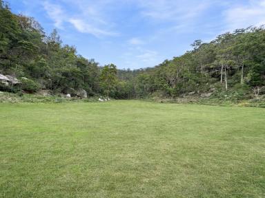 Lifestyle For Sale - NSW - Laguna - 2325 - 120 Acres of Rural Bliss!  (Image 2)