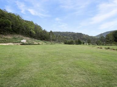 Lifestyle For Sale - NSW - Laguna - 2325 - 120 Acres of Rural Bliss!  (Image 2)