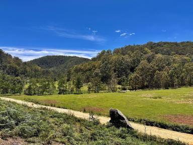 Lifestyle For Sale - NSW - Laguna - 2325 - 120 Acres of Rural Bliss!  (Image 2)