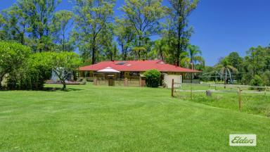 Acreage/Semi-rural For Sale - NSW - Kundle Kundle - 2430 - A RURAL LIFESTYLE SEVEN MINUTES FROM THE FREEWAY.  (Image 2)