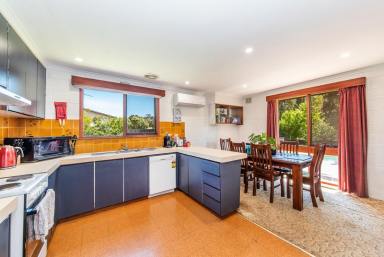 House Leased - VIC - Hamilton - 3300 - Family home on an acre  (Image 2)