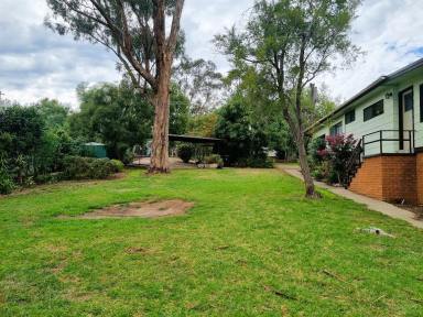 House For Sale - NSW - Gundagai - 2722 - Family home, Large block, Quiet location.  (Image 2)