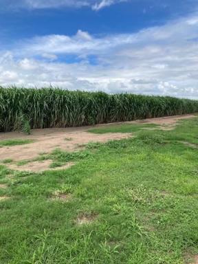 Cropping For Sale - QLD - Upper Haughton - 4809 - For Sale – Cane Farm with 5 Year Lease Attached  (Image 2)