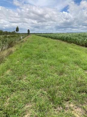 Cropping For Sale - QLD - Upper Haughton - 4809 - For Sale – Cane Farm with 5 Year Lease Attached  (Image 2)