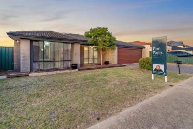 House Sold - WA - Hammond Park - 6164 - Complete Family Home in Hammond Park  (Image 2)