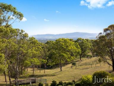 Lifestyle For Sale - NSW - Lovedale - 2325 - Exquisite Country Estate in Hunter Valley Wine Country  (Image 2)