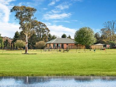 Lifestyle Sold - NSW - Boxers Creek - 2580 - The ultimate rural escape for the equine enthusiast A haven of undeniable appeal in an idyllic country setting  (Image 2)