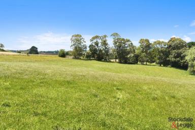 Livestock Sold - VIC - Mirboo - 3871 - OFFER ACCEPTED-36 PRODUCTIVE ACRES  (Image 2)