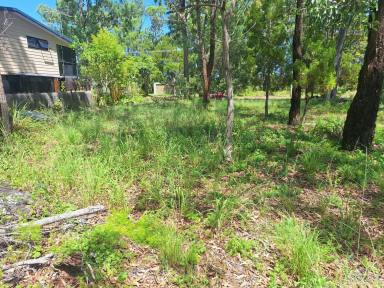 Residential Block For Sale - QLD - Macleay Island - 4184 - East Facing Waterfront  (Image 2)