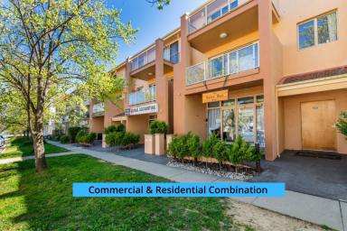 Townhouse For Sale - ACT - Gungahlin - 2912 - The Best Investment in Gungahlin! $352K p.a Income - No Body Corp & No Land Tax  (Image 2)