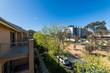 Townhouse For Sale - ACT - Gungahlin - 2912 - Multi-Income Masterpiece: Elegant Home, Prime Commercial Space, & Chic Studio - A Minute from Gungahlin Centre!  (Image 2)