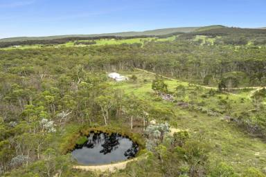 Other (Rural) Sold - NSW - Marulan - 2579 - "Acreage opportunities with Dwelling Entitlements!"  (Image 2)