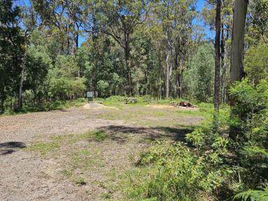 Residential Block For Sale - NSW - Wallagoot - 2550 - OPPORTUNITY KNOCKS  (Image 2)