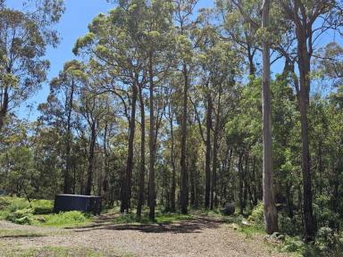 Residential Block For Sale - NSW - Wallagoot - 2550 - OPPORTUNITY KNOCKS  (Image 2)