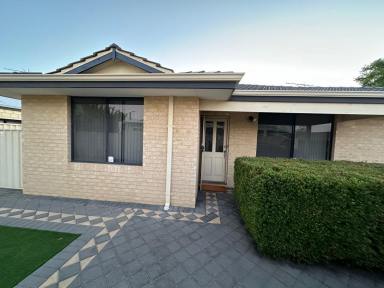 House Leased - WA - Morley - 6062 - Central Convenience Home in Morley  (Image 2)