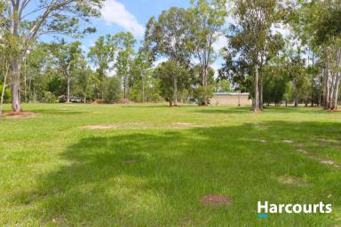 Residential Block Sold - QLD - Buxton - 4660 - 2.4 ACRES - SHED WITH FACILITIES  (Image 2)