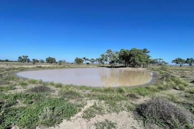Livestock For Sale - NSW - Brewarrina - 2839 - Easily Managed, Productive Grazing Property  (Image 2)
