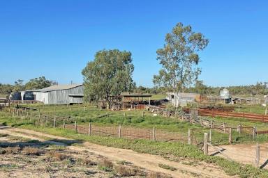 Livestock For Sale - NSW - Brewarrina - 2839 - Easily Managed, Productive Grazing Property  (Image 2)