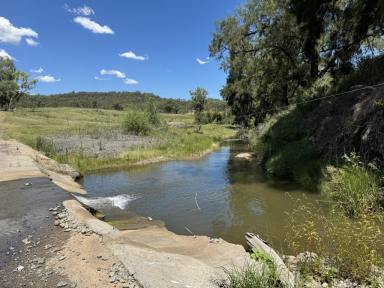 Lifestyle For Sale - nsw - Merriwa - 2329 - 155 Acres Fronting The River  (Image 2)