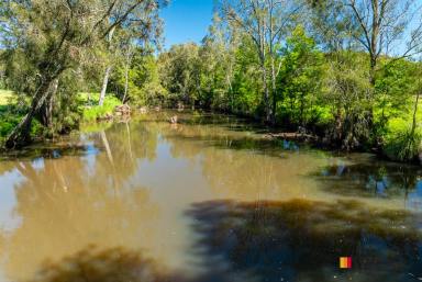 Residential Block Sold - NSW - Nelligen - 2536 - Potential Plus!  (Image 2)