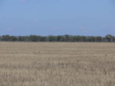 Cropping For Sale - NSW - Fairholme - 2871 - Broad Scale Cropping & Grazing  (Image 2)