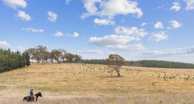 Lifestyle For Sale - NSW - Bellmount Forest - 2581 - Buy Your Dream for less than what it costs to build!  (Image 2)