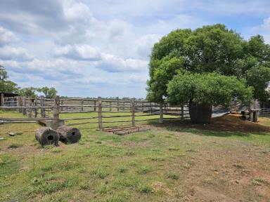 Lifestyle For Sale - QLD - Kowguran - 4415 - The foundations are set!  (Image 2)