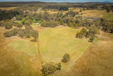 Residential Block For Sale - VIC - Beaufort - 3373 - 2.00HA (4.94 Acres) Convenient & Picturesque Setting  - Lot to be Serviced With Mains Power  (Image 2)